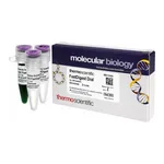 Thermo Fisher Scientific FastDigest DraI