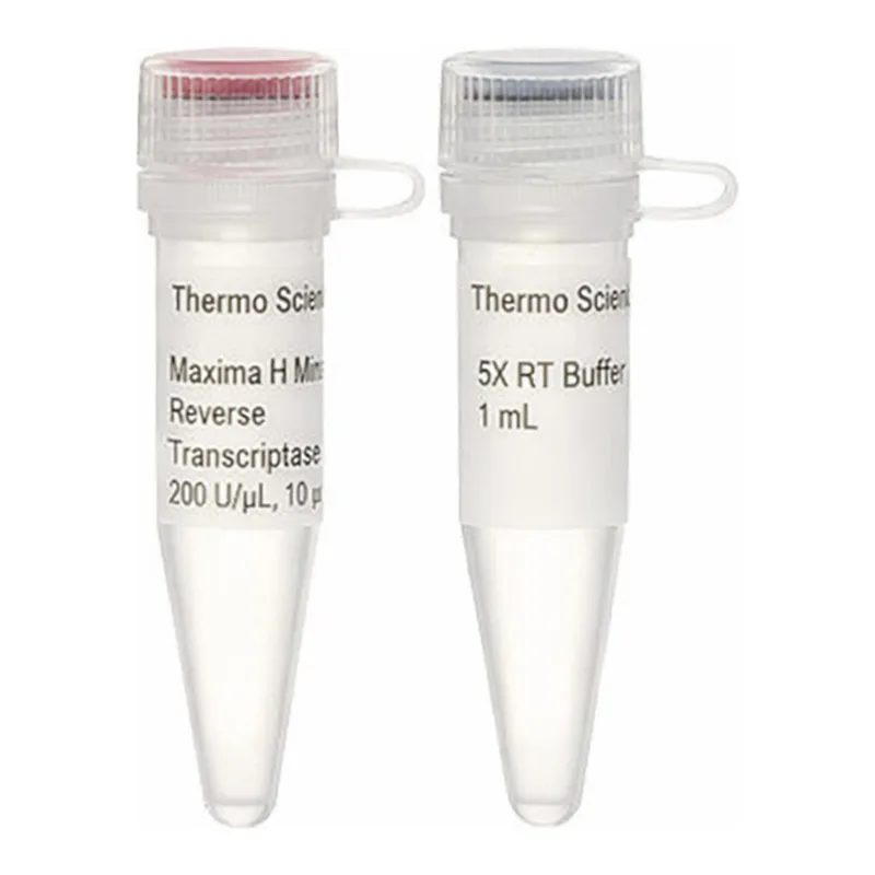 Thermo Fisher Scientific Maxima H Minus Reverse Transcriptase (200 U/μL), 2,000 Units