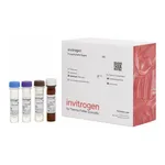 Thermo Fisher Scientific Dkk-1 Human ProcartaPlex Simplex Kit