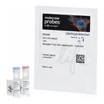 Thermo Fisher Scientific Qtracker 525 Cell Labeling Kit (Trial Size)
