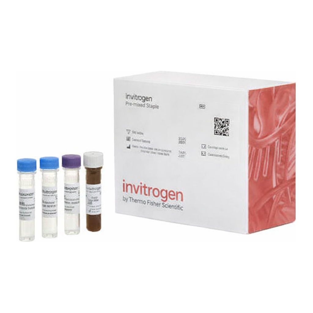 Thermo Fisher Scientific VEGF-R2 (KDR) Mouse ProcartaPlex Simplex Kit