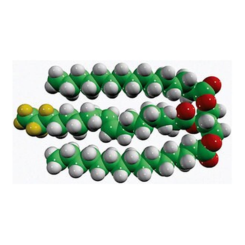 Merck 15:0-18:1-D7-15:0 TG