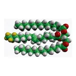 Merck 15:0-18:1-D7-15:0 TG