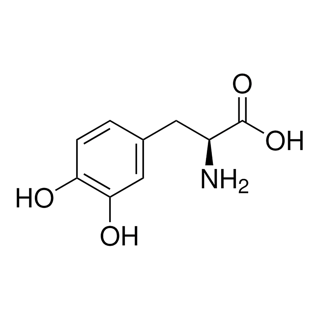 Merck LEVODOPA