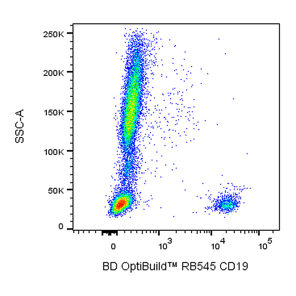 BD RB545 Mouse Anti-Human CD19