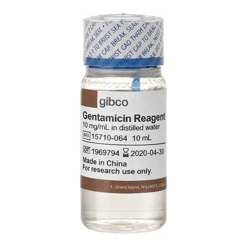Thermo Fisher Scientific Gentamicin (10 mg/mL), 10 mL