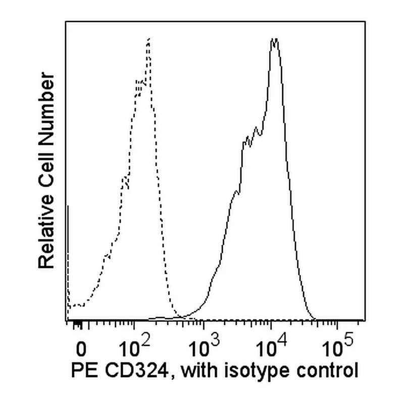 BD PE Mouse Anti-Human CD324 (E-Cadherin)