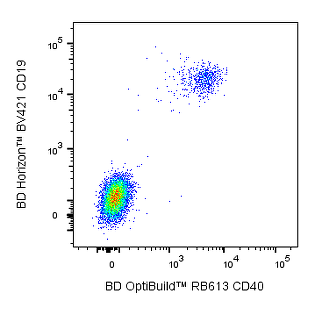 BD RB613 Mouse Anti-Human CD40