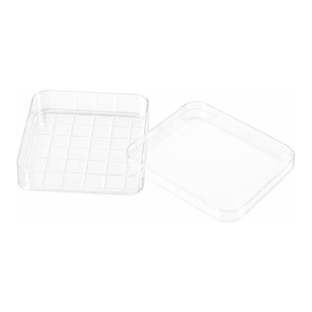 Square Petri Dish 사각 페트리 디쉬, Polystyrene