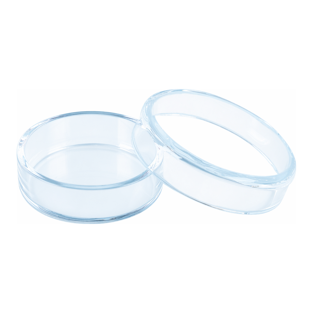 Quartz Petri Dish 석영 페트리 디쉬