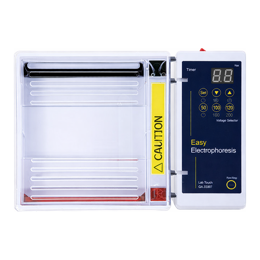 Easy Electrophoresis 전기영동기