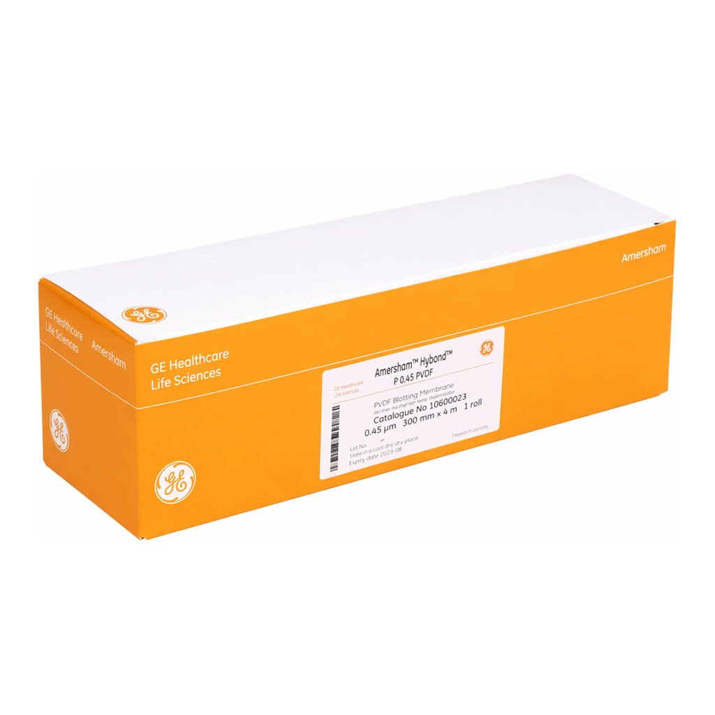 Blotting Membrane 블로팅 멤브레인