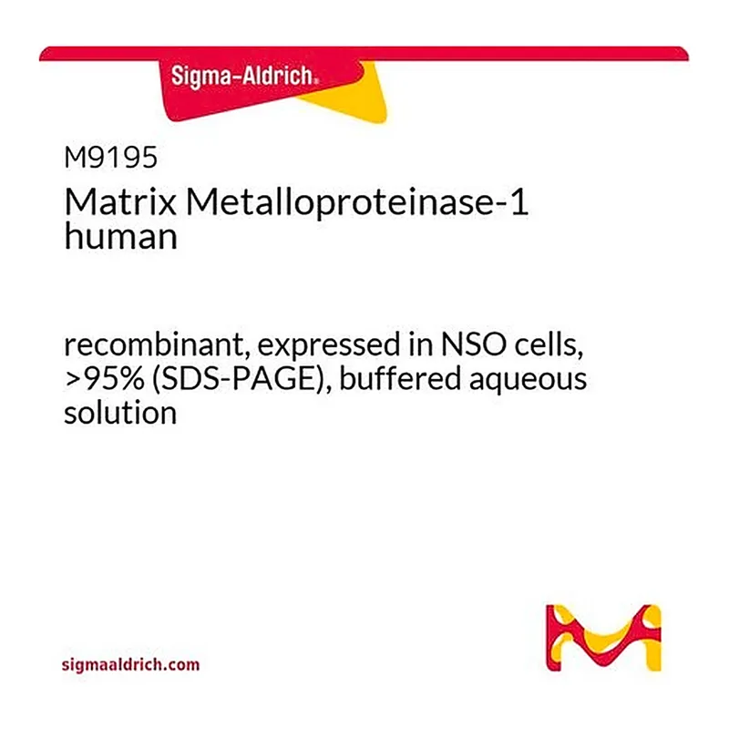 Merck Matrix Metalloproteinase-1 human