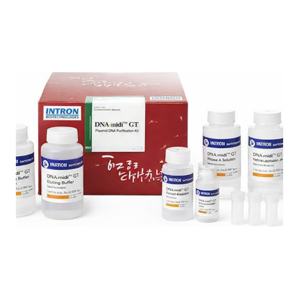 Intron DNA-midi™ GT Plasmid DNA Purification Kit