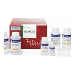 Intron DNA-midi™ GT Plasmid DNA Purification Kit