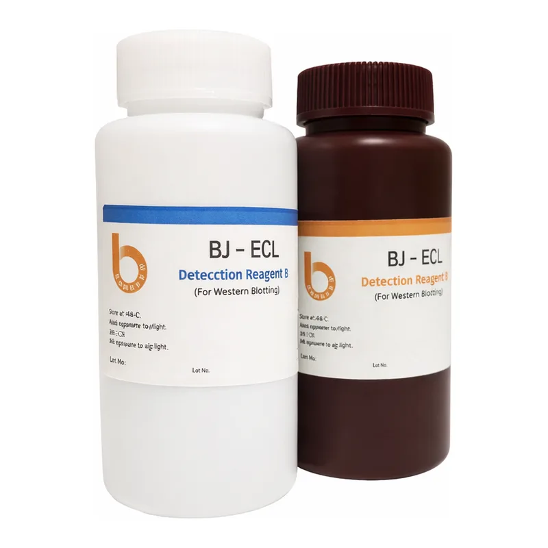 ECL Solution (Western Blotting Detection Kit)