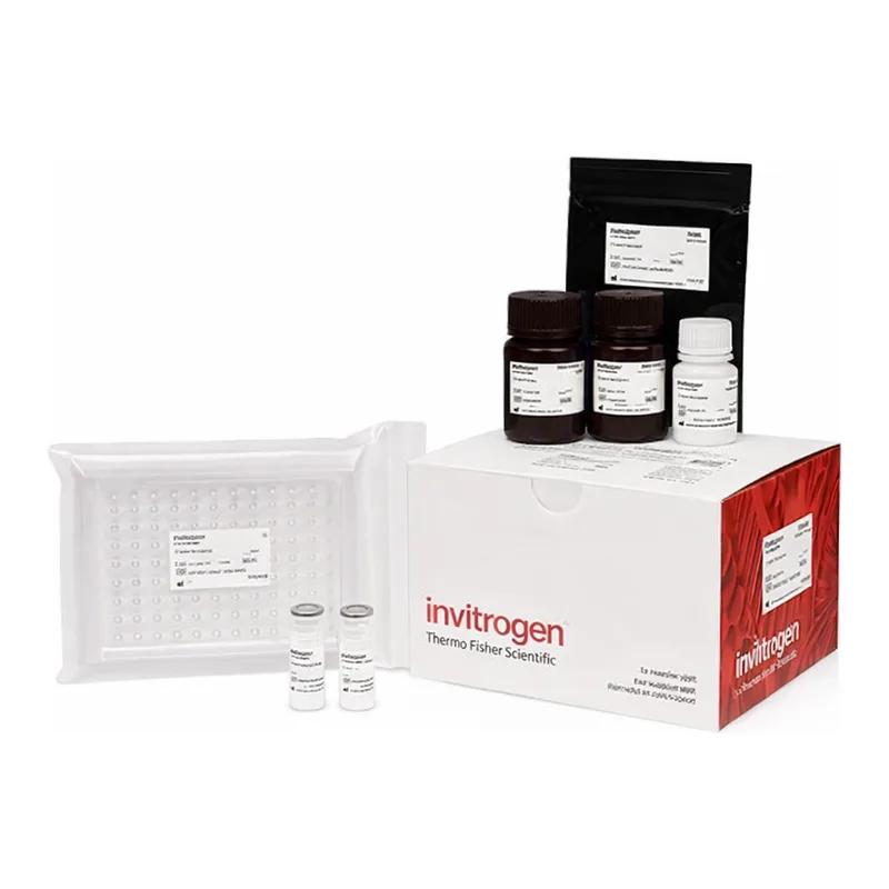 Thermo Fisher Scientific Reduced Glutathione (GSH) Colorimetric Assay Kit
