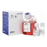 Thermo Fisher Scientific ExpiFectamine 293 Transfection Kit, For 1 L of culture