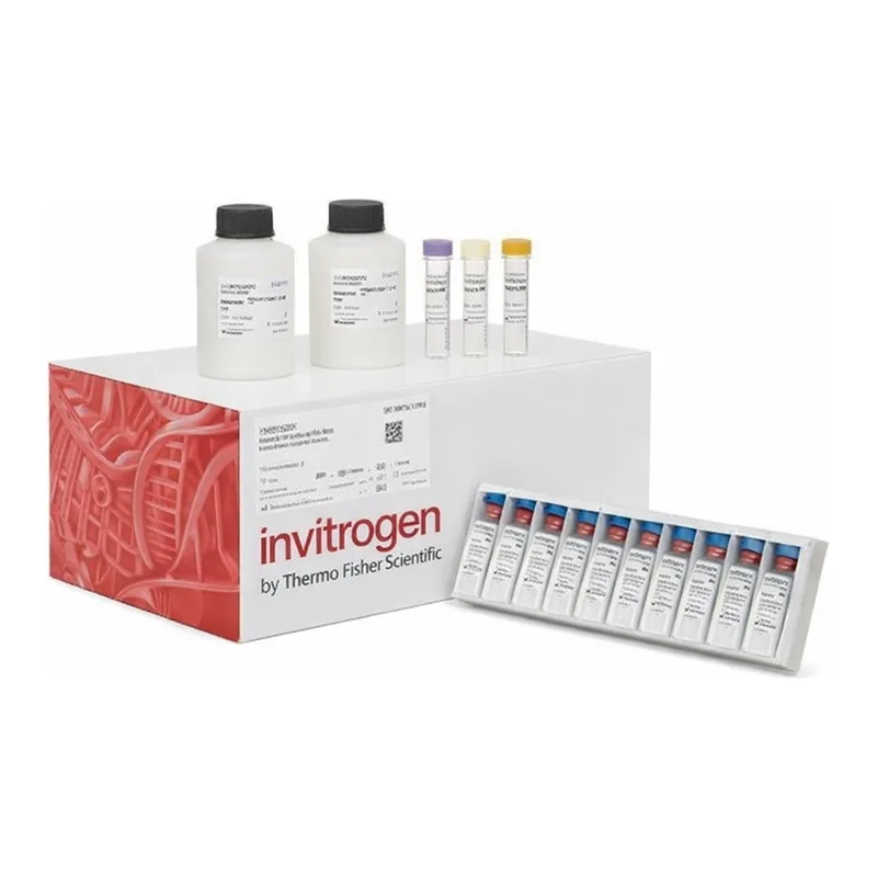 Thermo Fisher Scientific Human IFN gamma Matched Antibody Pair