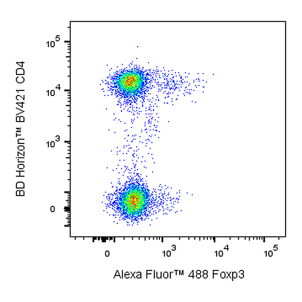 BD Alexa Fluor® 488 Rat Anti-Mouse Foxp3