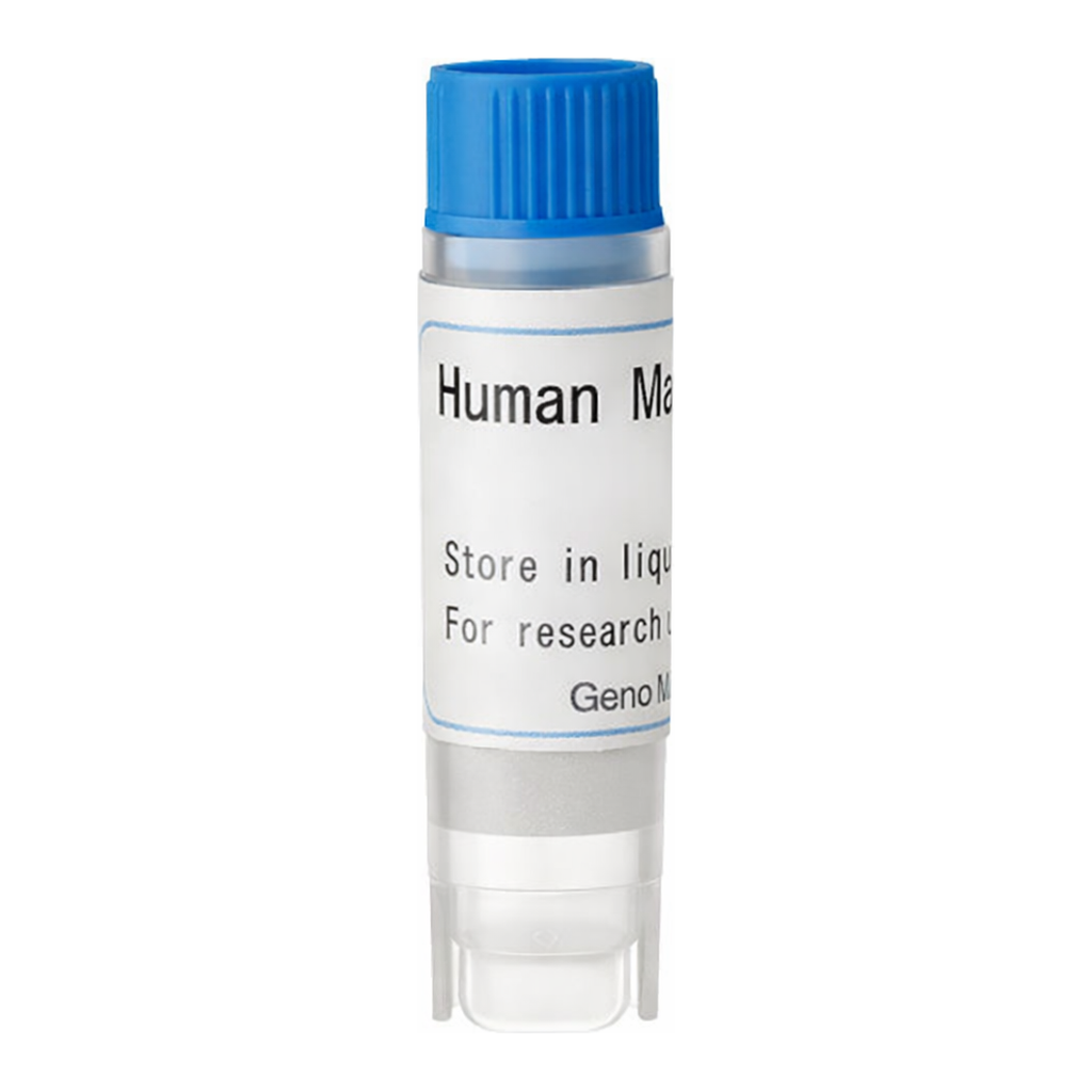 Thermo Fisher Scientific Human OCT1 (G) SLC Transporter Cells