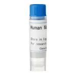 Thermo Fisher Scientific Human OCT1 (G) SLC Transporter Cells