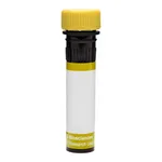 BD RY586 Rat Anti-Human Claudin-1