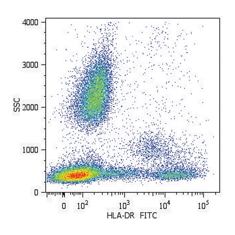 Merck Monoclonal Anti-HLA-DR-FITC antibody produced in mouse