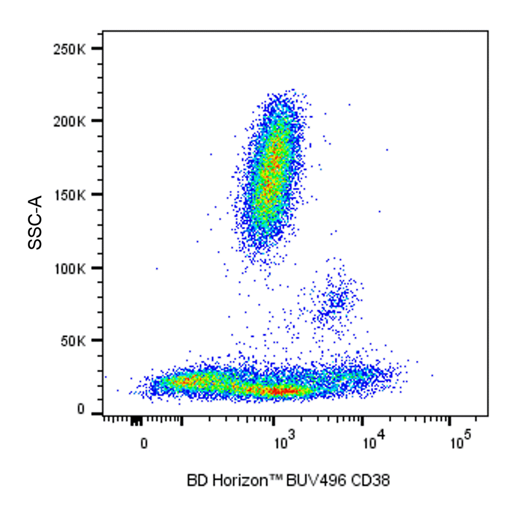 BD BUV496 Mouse Anti-Human CD38
