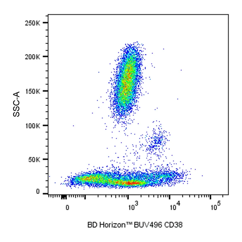 BD BUV496 Mouse Anti-Human CD38