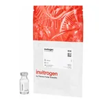 Thermo Fisher Scientific FluoSpheres Polystyrene Microspheres, 15 μm, red-orange fluorescent (565/580), for blood flow determination