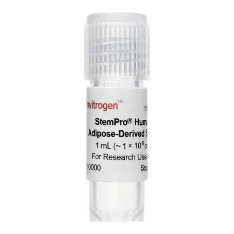Thermo Fisher Scientific StemPro Human Adipose-Derived Stem Cells