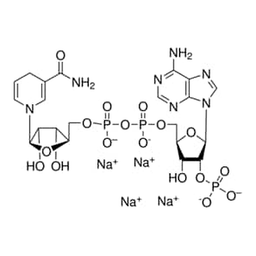 Merck BETA-NICOTINAMIDE ADENINE DINUCLEOTIDE&