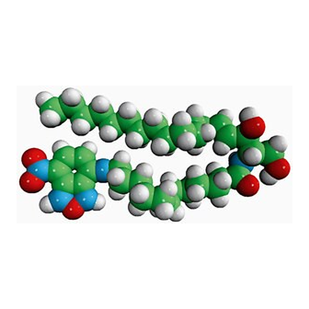 Merck C12-NBD CERAMIDE