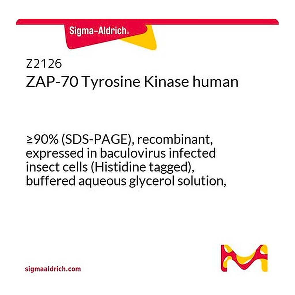 Merck ZAP-70 Tyrosine Kinase human