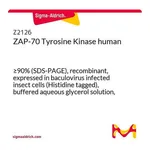 Merck ZAP-70 Tyrosine Kinase human