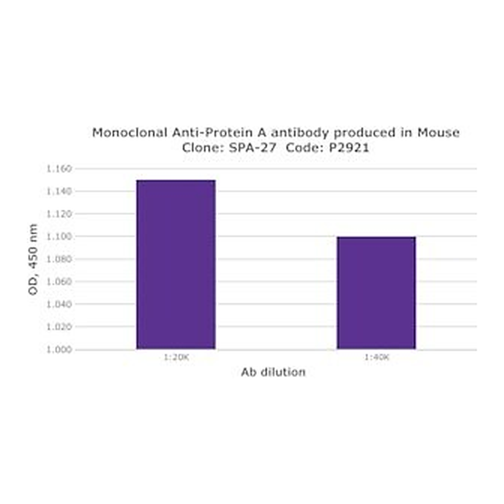Merck MOUSE MONOCLONAL ANTI-PROTEIN A, CLONE &