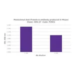 Merck MOUSE MONOCLONAL ANTI-PROTEIN A, CLONE &