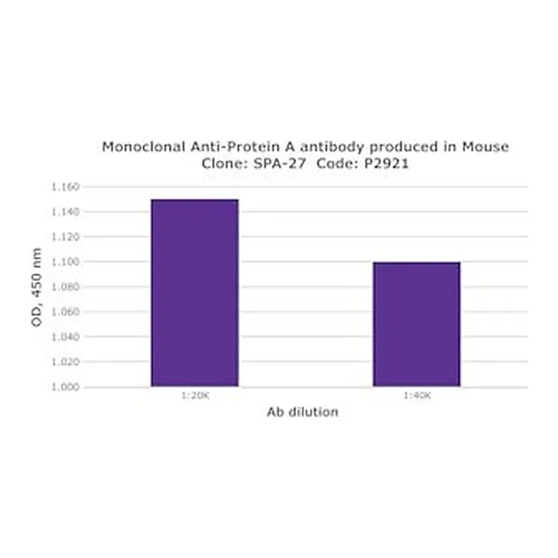 Merck MOUSE MONOCLONAL ANTI-PROTEIN A, CLONE &