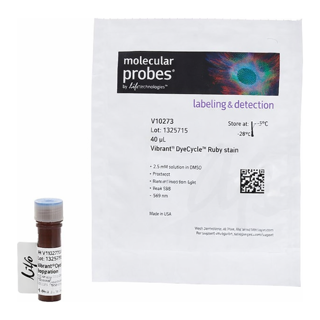 Thermo Fisher Scientific Vybrant DyeCycle Ruby Stain, 400 reactions