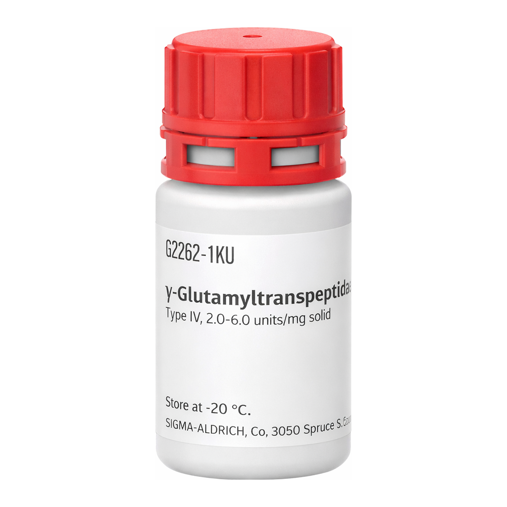 Merck gamma-Glutamyltranspeptidase from porcine kidney