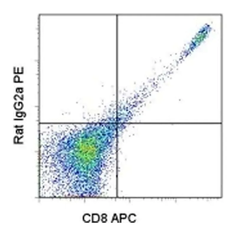 Thermo Fisher Scientific Mouse anti-Rat IgG2a Secondary Antibody, PE, eBioscience