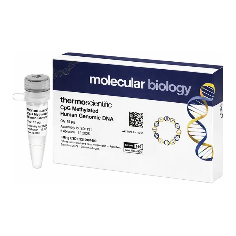 Thermo Fisher Scientific CpG Methylated Human Genomic DNA