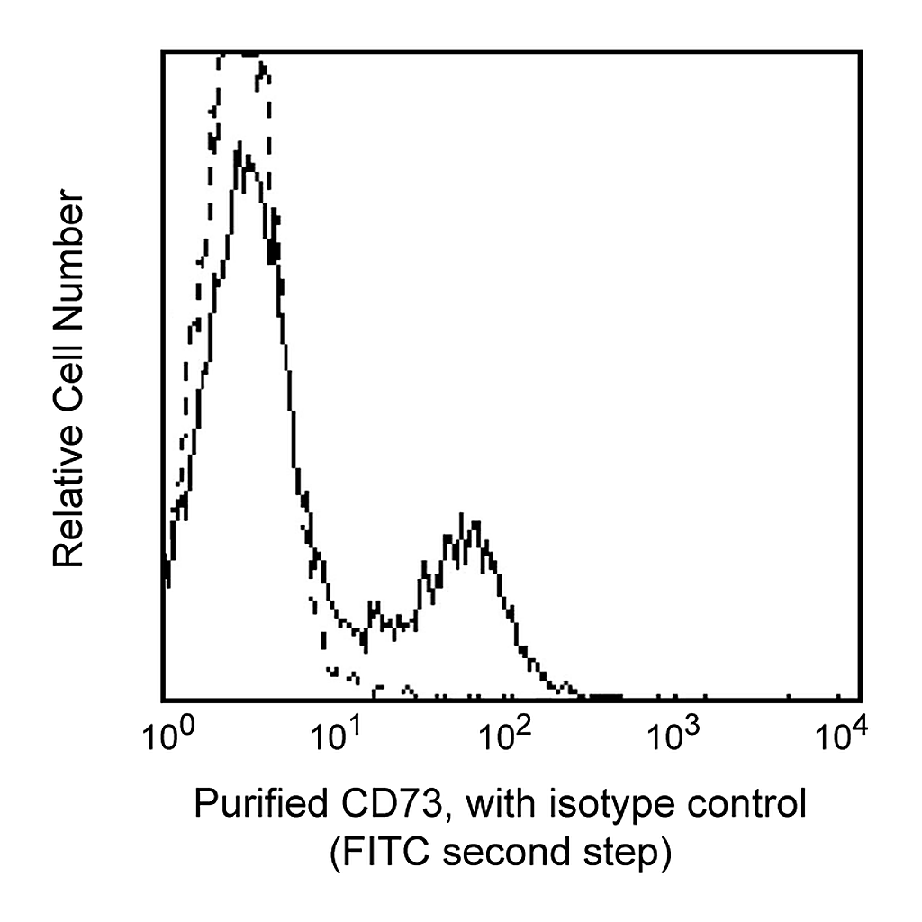 BD Purified Mouse Anti-Human CD73