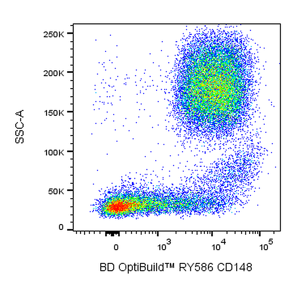 BD RY586 Mouse Anti-Human CD148