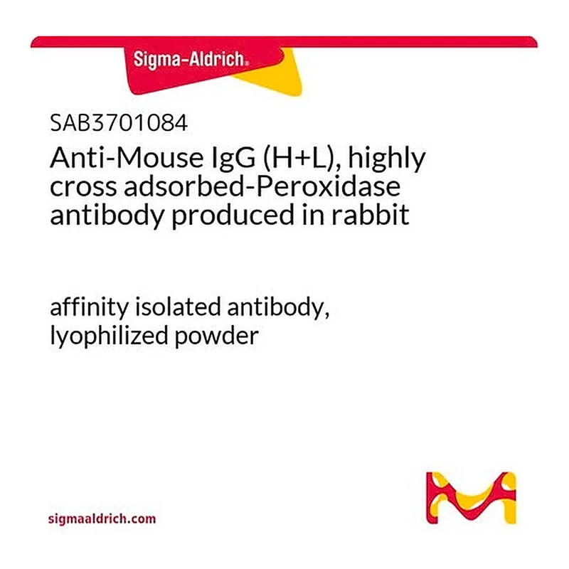 Merck Anti-Mouse IgG (H+L), highly cross adsorbed-Peroxidase antibody produced in rabbit