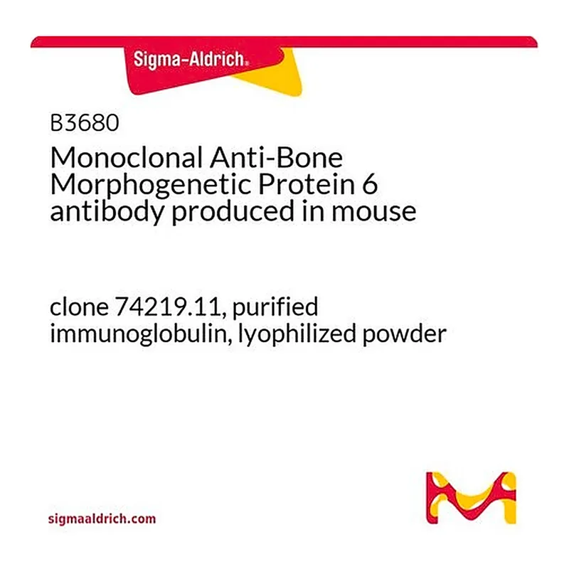 Merck Monoclonal Anti-Bone Morphogenetic Protein 6 antibody produced in mouse