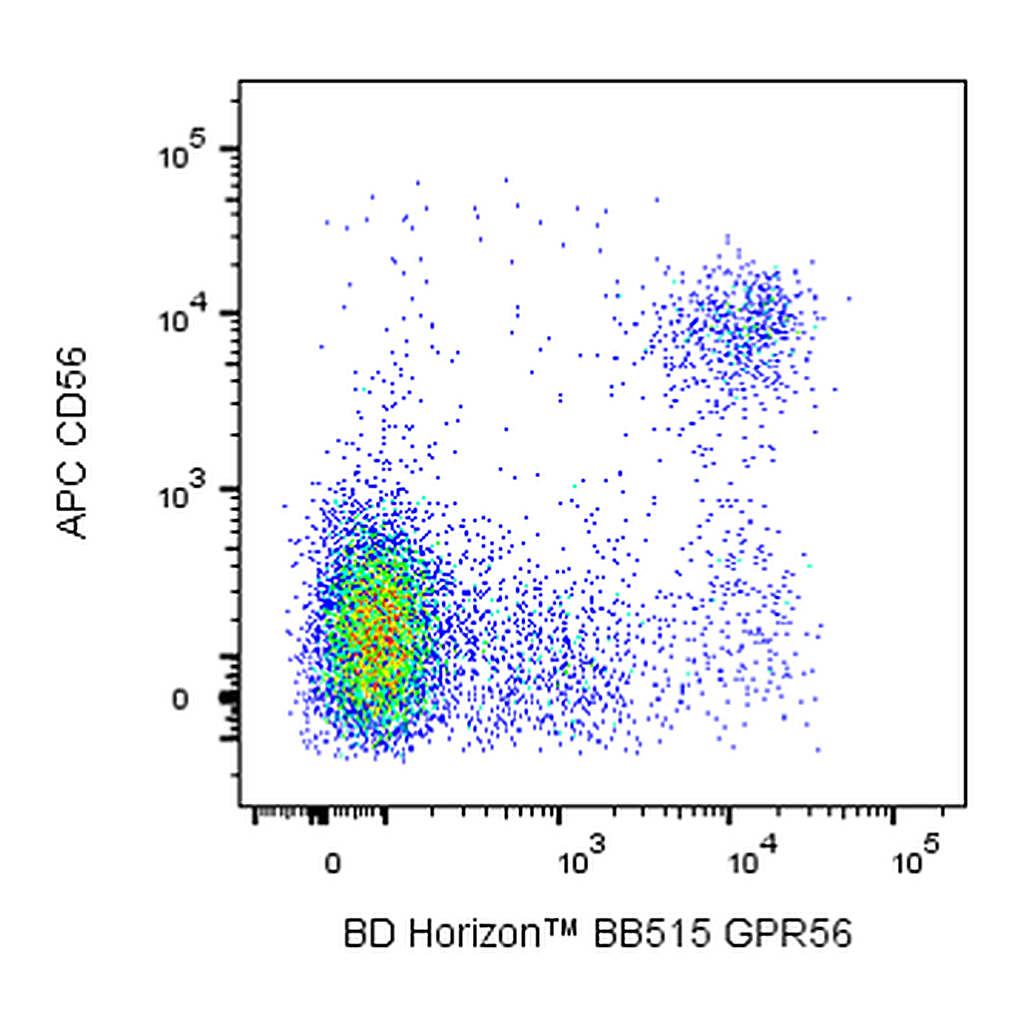 BD BB515 Mouse Anti-Human GPR56