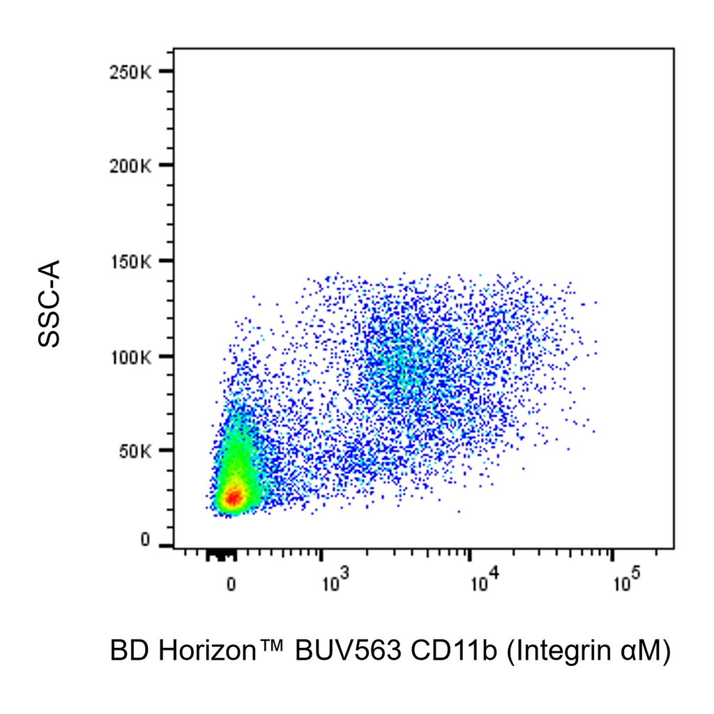 BD BUV563 Rat Anti-CD11b (Integrin αM)