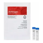 Thermo Fisher Scientific Rhod-2, AM, cell permeant, 1mg